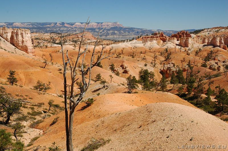 Bryce Canyon 10 